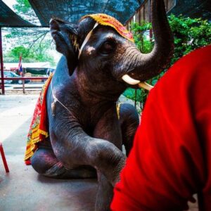 三中元克がオーディション不合格 番組は茶番でも視聴者はシビア めちゃイケ感想 くるじるえるく