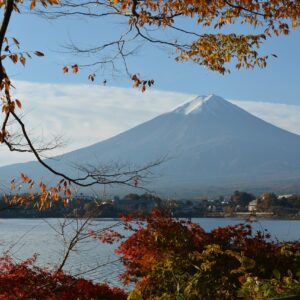 信玄餅アイスやクレープの販売店はどこ 評判は くるじるえるく