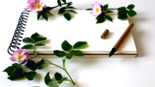 ドラマデスノート第1話感想 評価を下すには早いが くるじるえるく